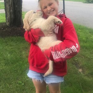 Meet your Posher, Kimberly